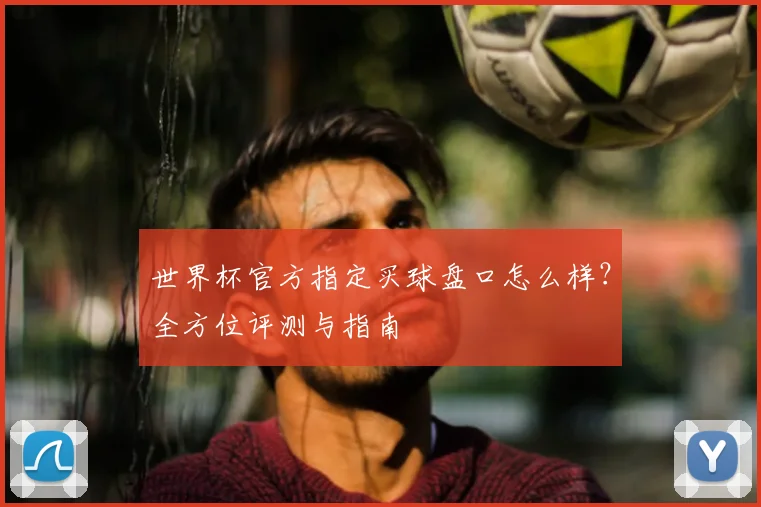 世界杯官方指定买球盘口怎么样？全方位评测与指南