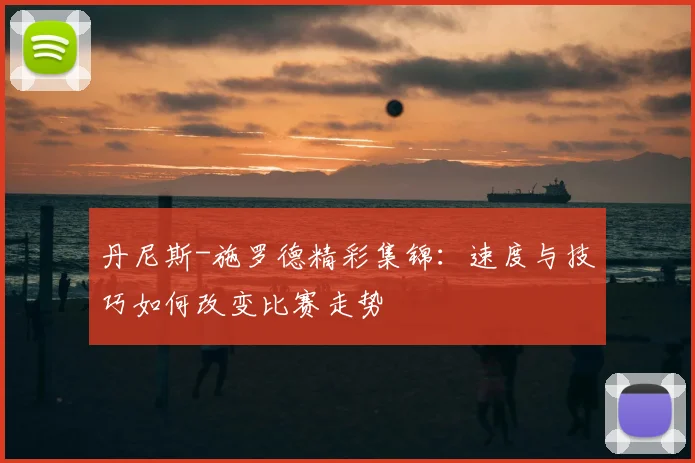 丹尼斯-施罗德精彩集锦：速度与技巧如何改变比赛走势