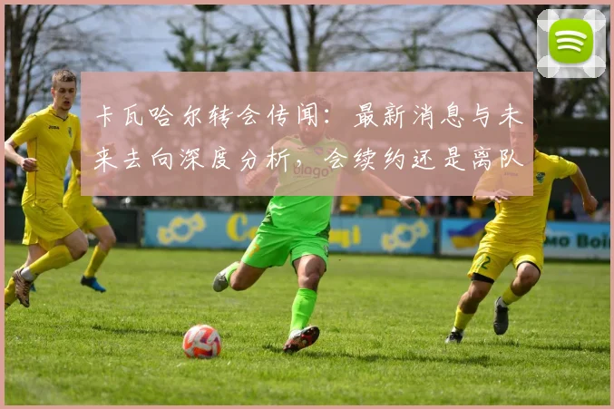 卡瓦哈尔转会传闻:最新消息与未来去向深度分析,会续约还是离队?
