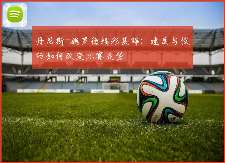 丹尼斯-施罗德精彩集锦：速度与技巧如何改变比赛走势
