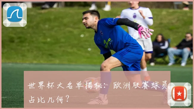 世界杯大名单揭秘：欧洲联赛球员占比几何？