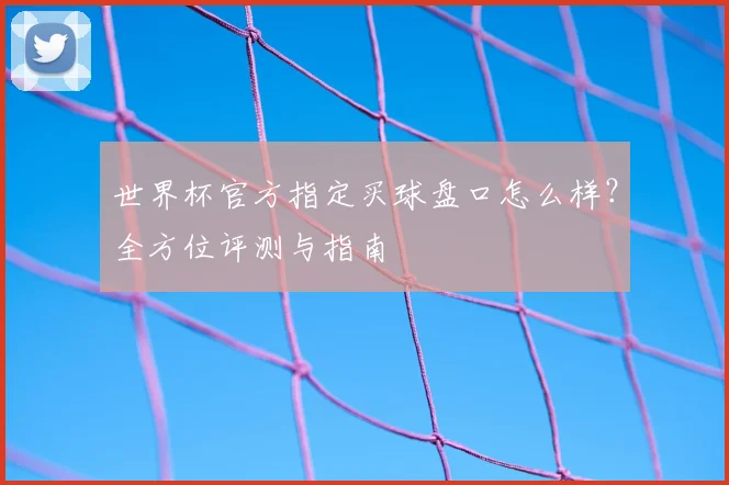 世界杯官方指定买球盘口怎么样？全方位评测与指南